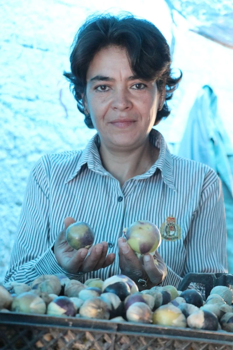 Yakalandığı meme kanserini kendi yetiştirdiği meyveyle yendi