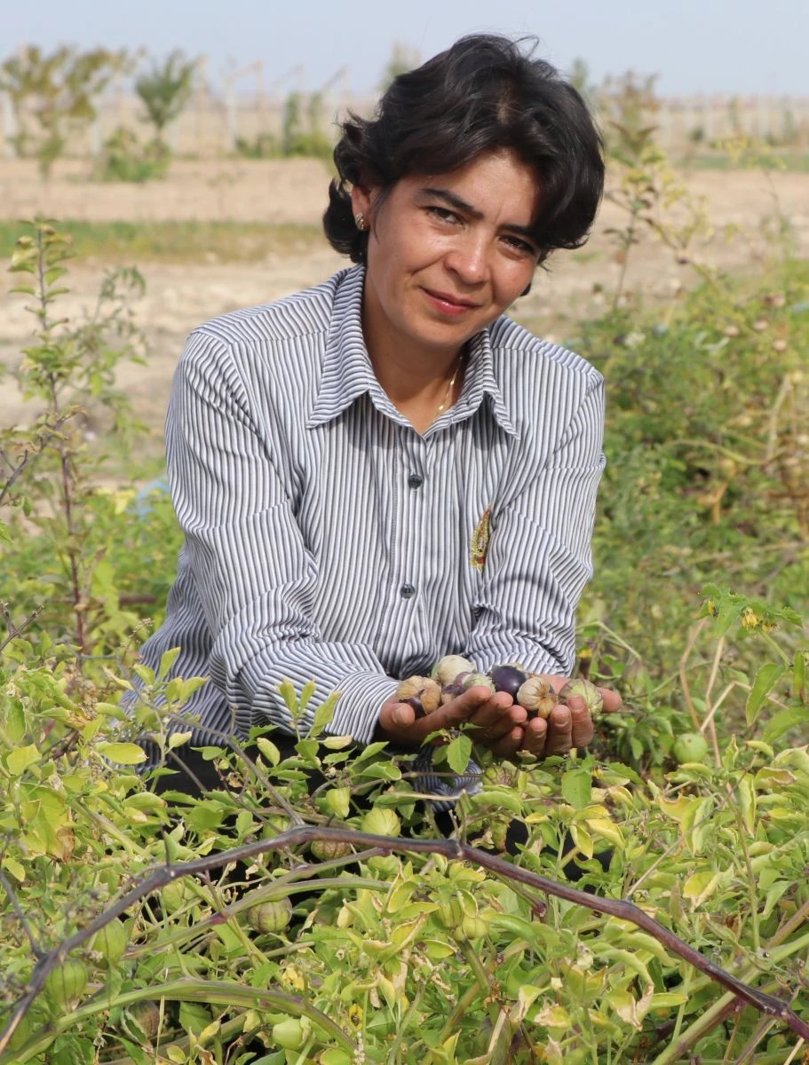 Yakalandığı meme kanserini kendi yetiştirdiği meyveyle yendi