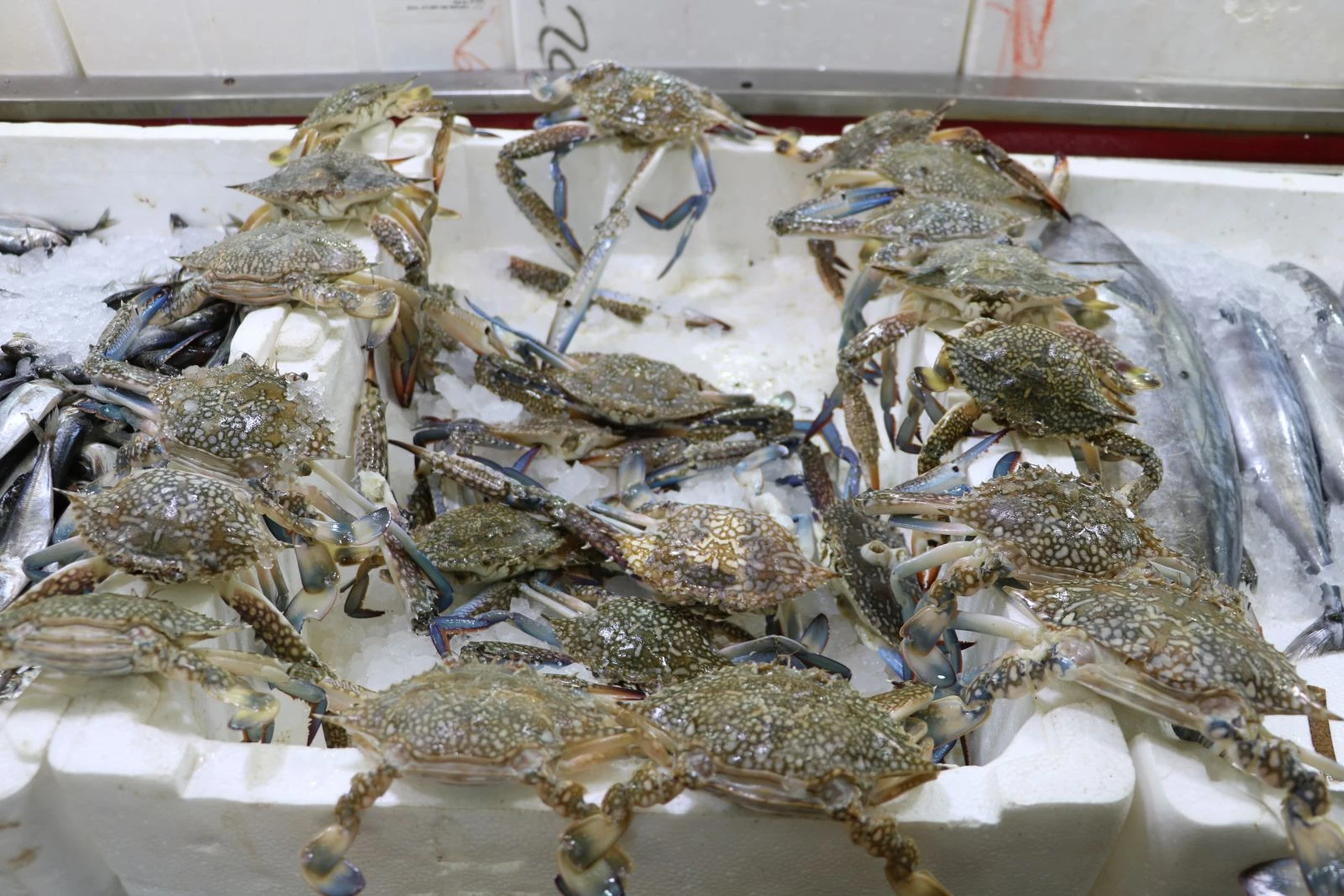 Denizi olmayan kentte tanesi 5 liradan kapış kapış gidiyor