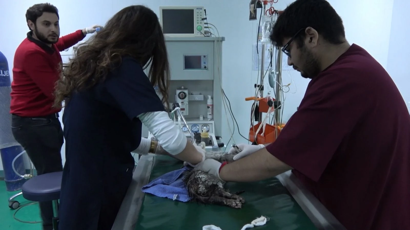 Tuvalet gider borusunda 3 gün mahsur kalan kedi kurtarıldı