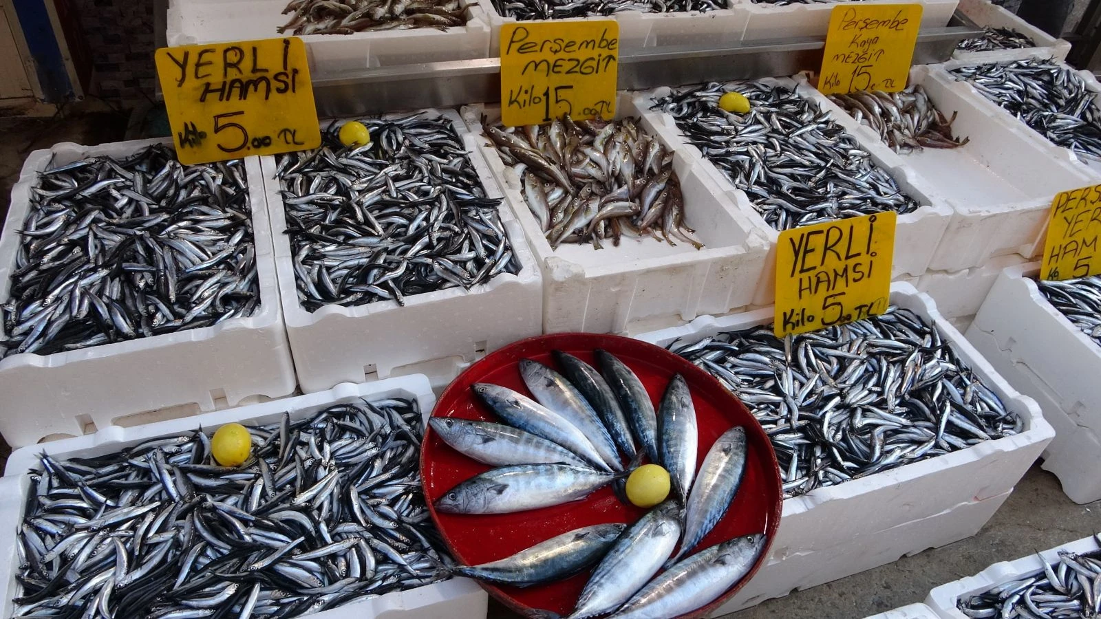 Fiyatı gören vatandaşlar balıkçılara akın etti