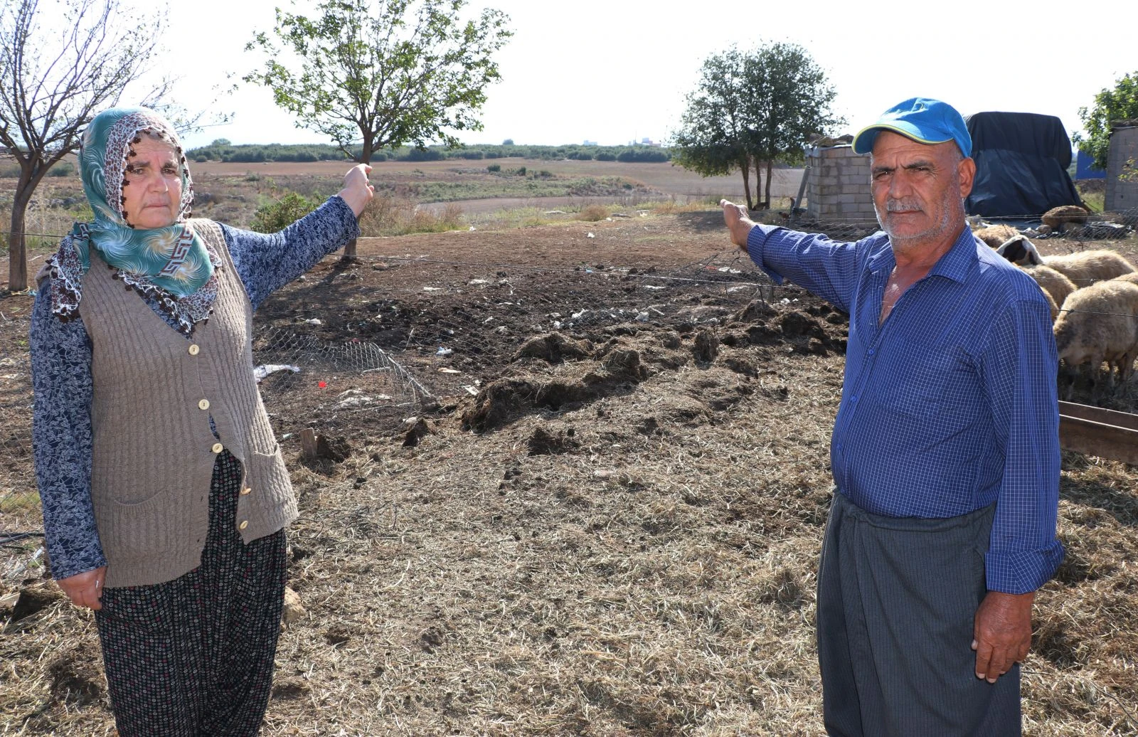 Koyunları çalınan Ayşe teyze, ’Koyunlarımı geri getirsinler' diye gözyaşı döktü