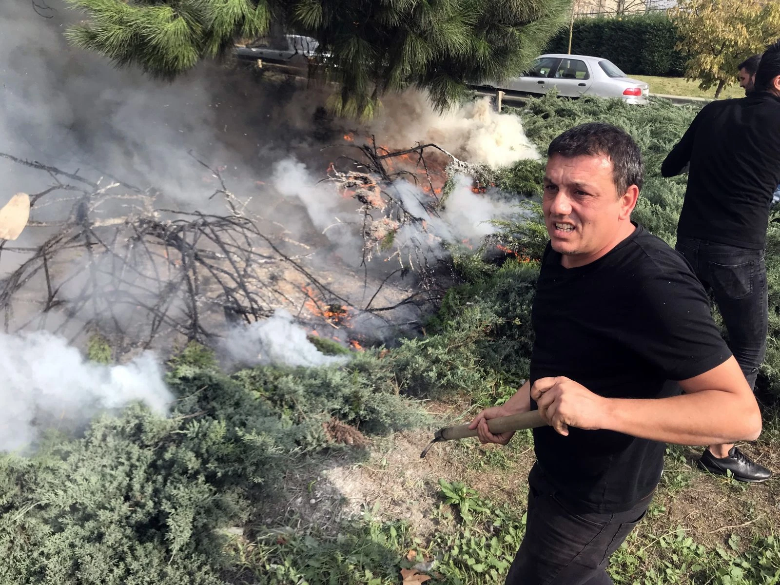 Otoyol kenarında bulunan çam ağaçları alev alev yandı