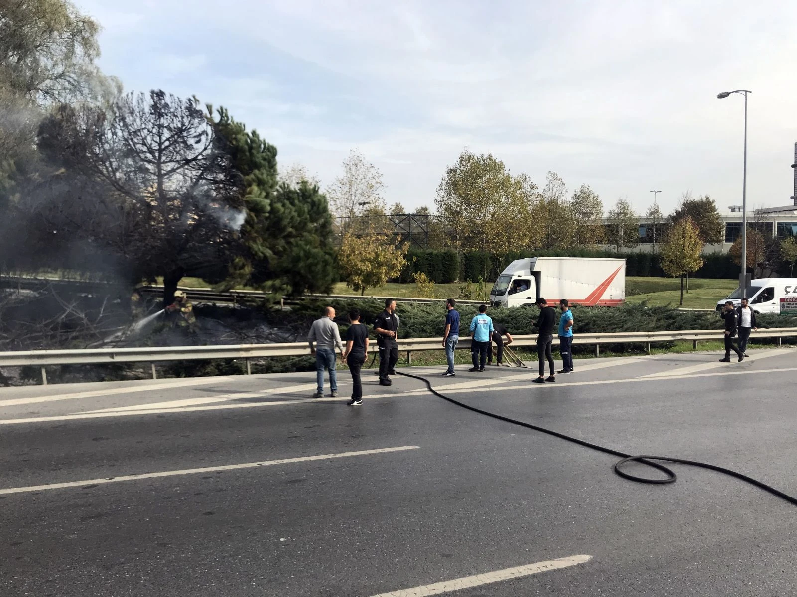 Otoyol kenarında bulunan çam ağaçları alev alev yandı