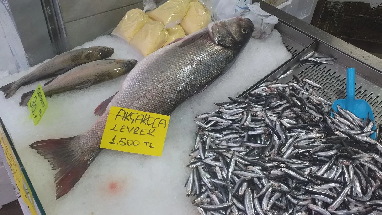 9 kilogramlık levrek fiyatı ile dudak uçuklattı