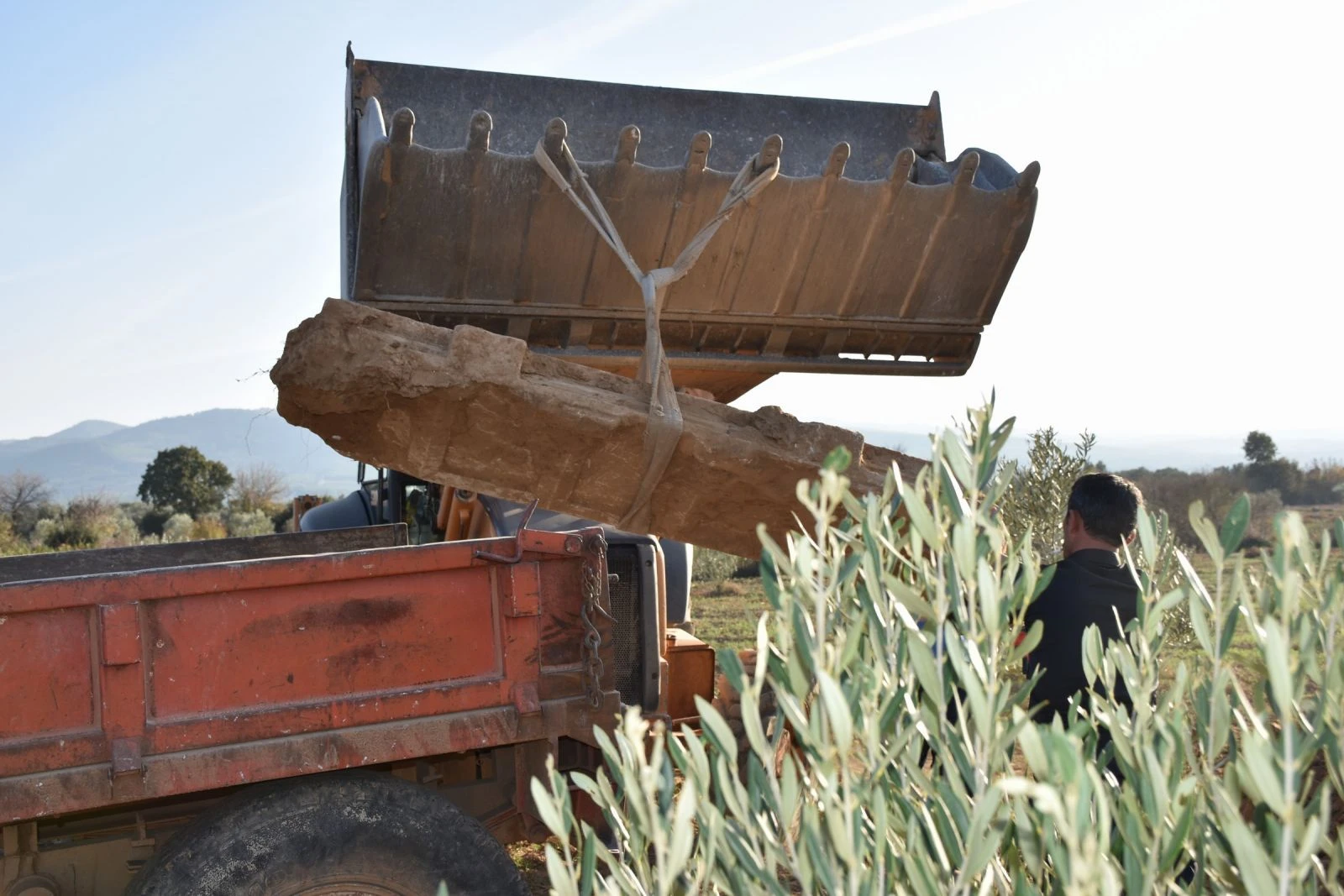 Zeytinlikte bulundu! Kapağı var, kendisi yok