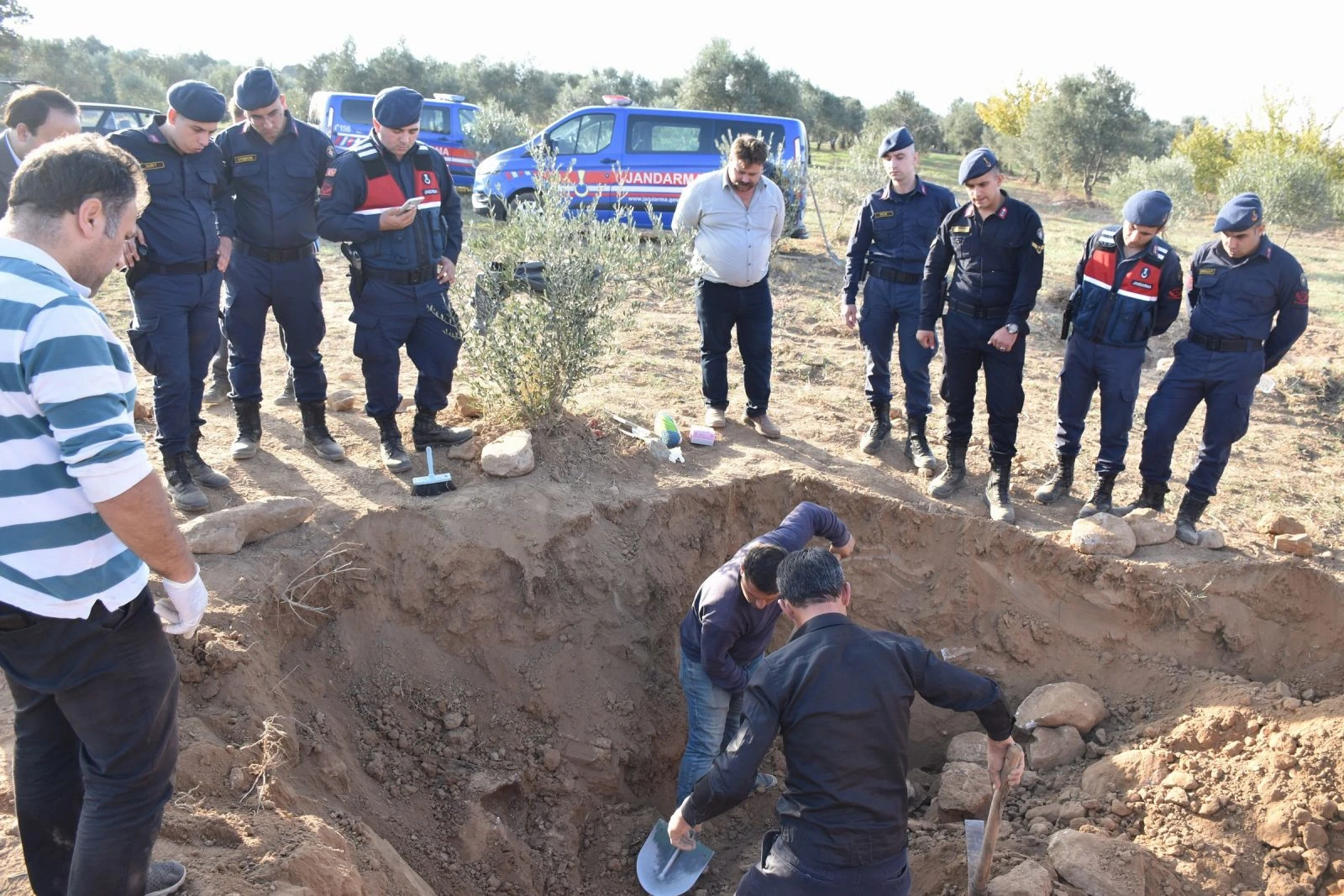Zeytinlikte bulundu! Kapağı var, kendisi yok