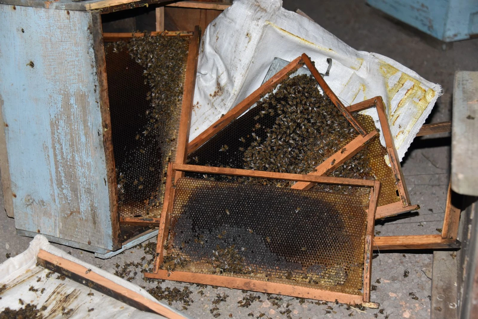 Kamyonet kaza yaptı, arıcılar seferber oldu