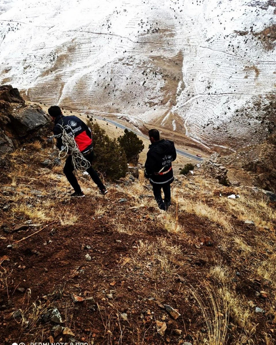 Sarp kayalıklarda mahsur kalan 2 çoban ve 6 koyun kurtarıldı