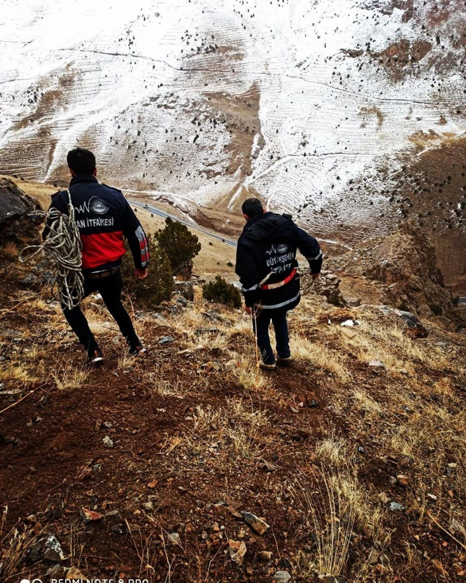 Sarp kayalıklarda mahsur kalan 2 çoban ve 6 koyun kurtarıldı