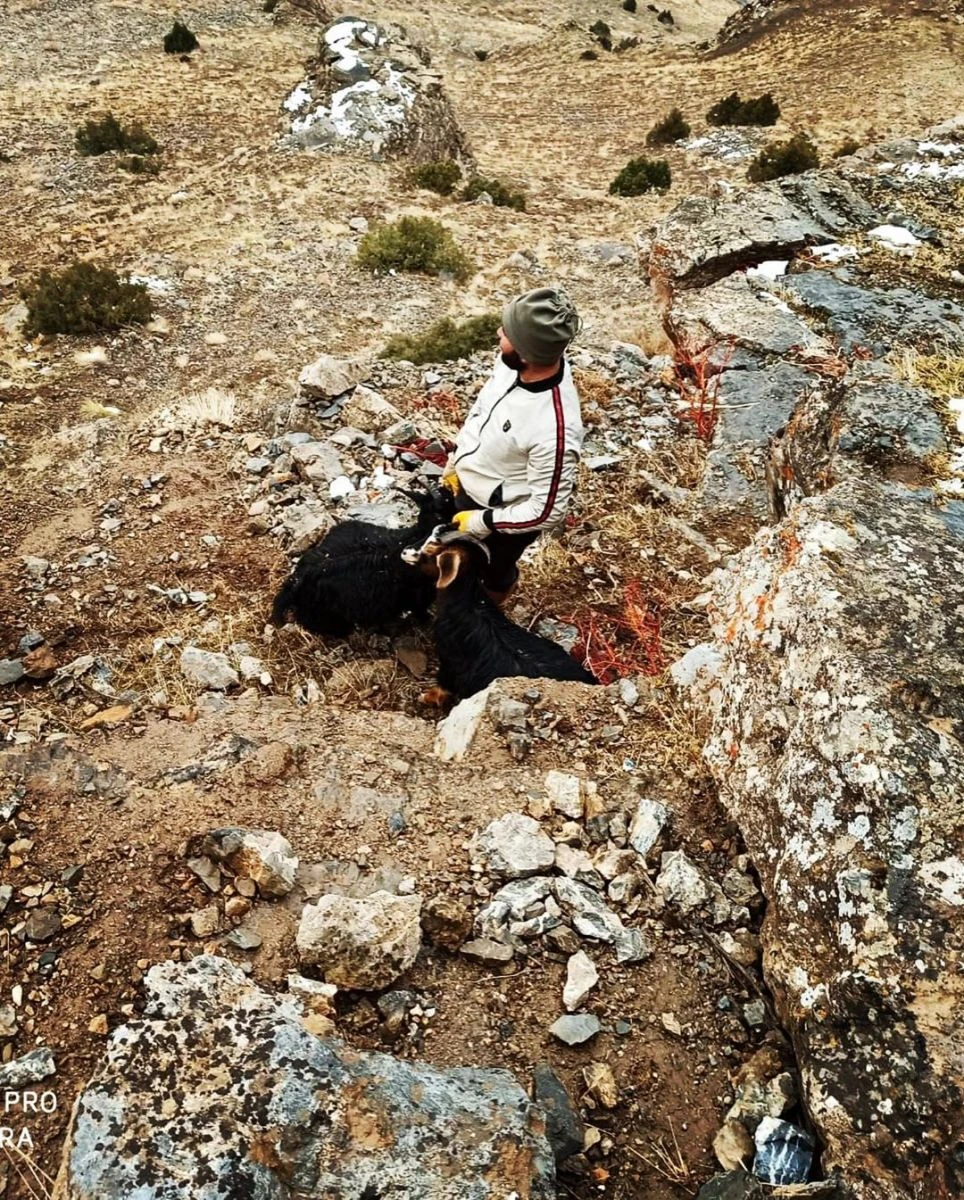 Sarp kayalıklarda mahsur kalan 2 çoban ve 6 koyun kurtarıldı