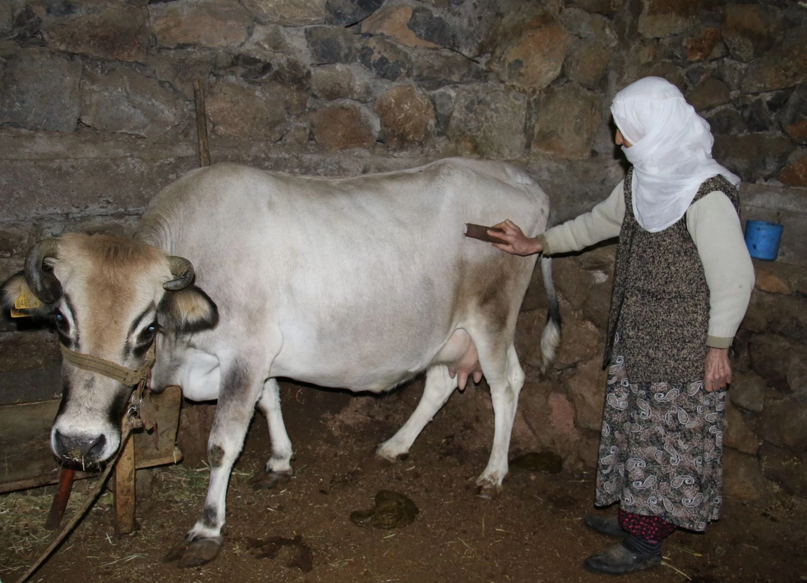Cemile teyzenin mutluluk fotoğrafı