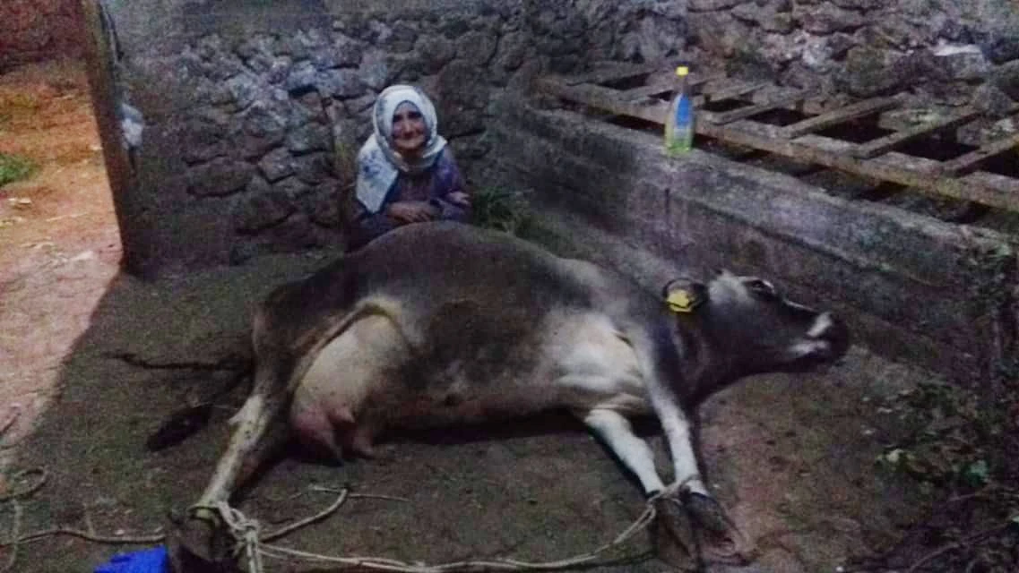 Cemile teyzenin mutluluk fotoğrafı