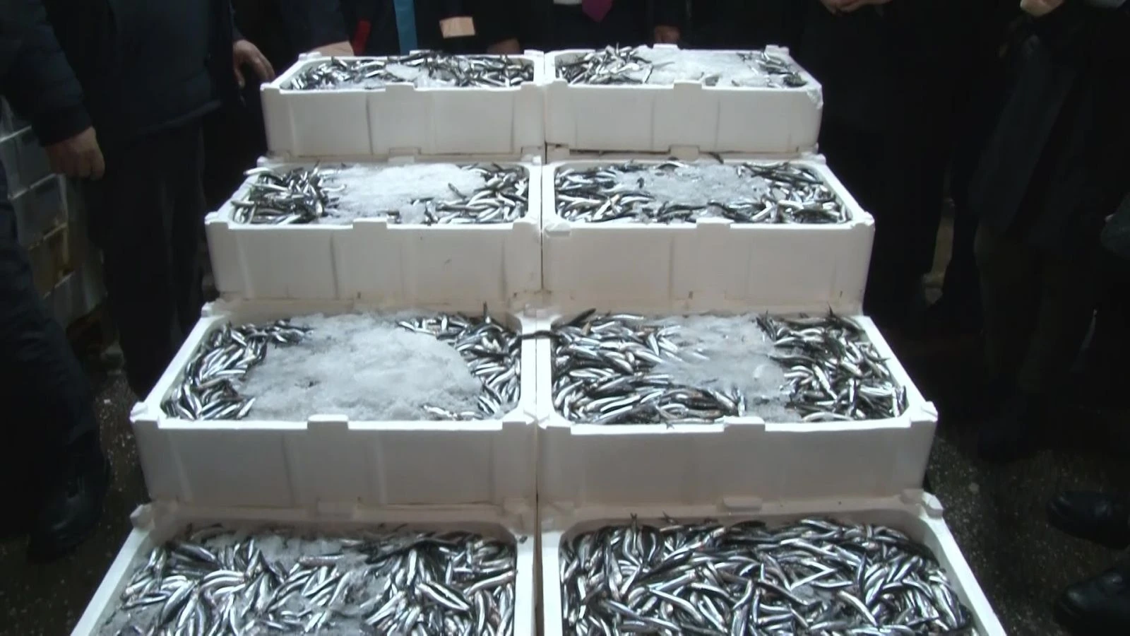 Balıkçılara gece denetimi