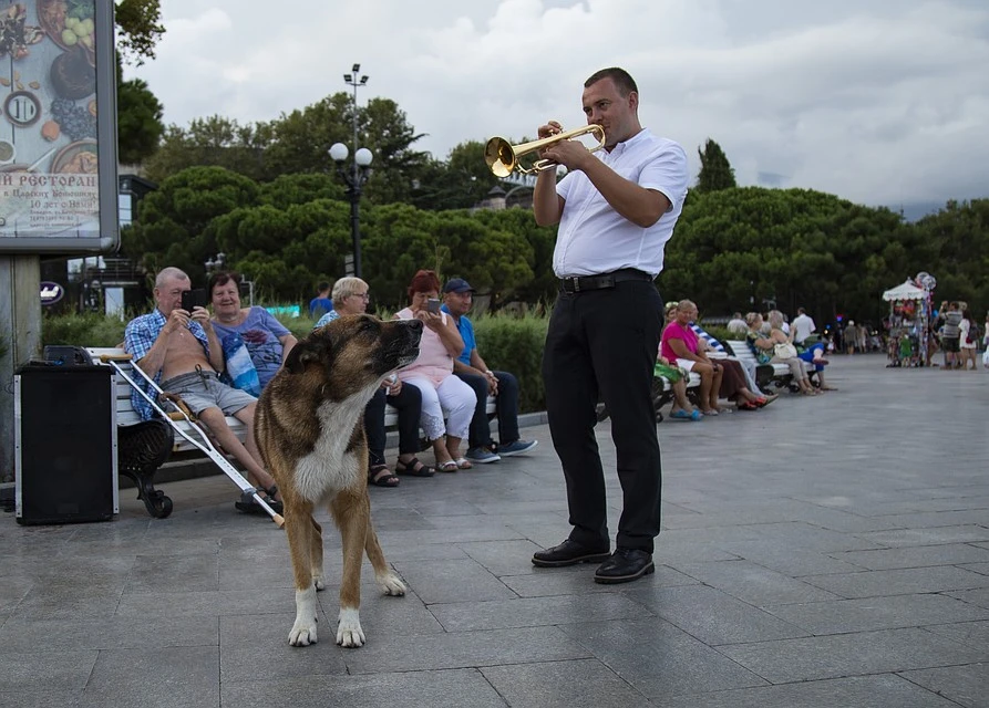Kırım’ın Haçiko’su 9 yıldır sahibini bekliyor