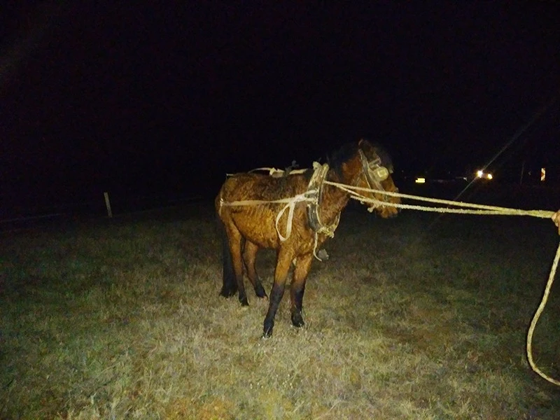 Otomobil at arabasına çarptı: 1 ölü