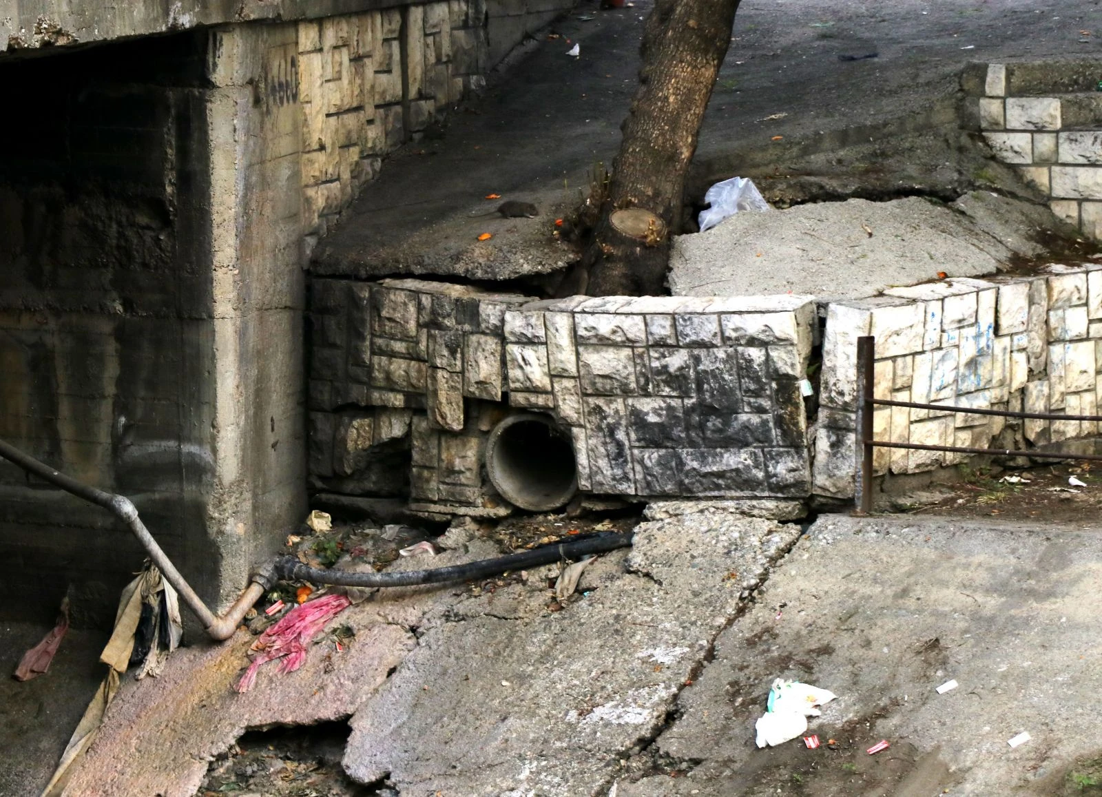 Çukurova'yı besliyordu! Şimdi çöplüğe döndü