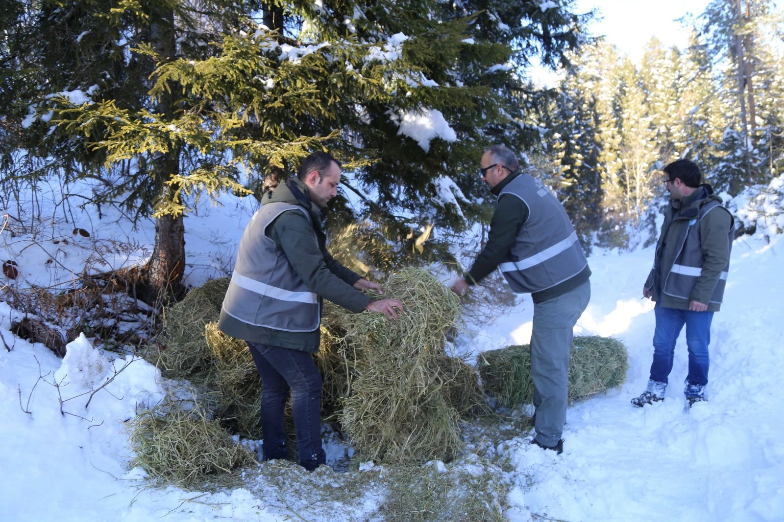 Yaban hayvanları için doğaya yem bırakıldı