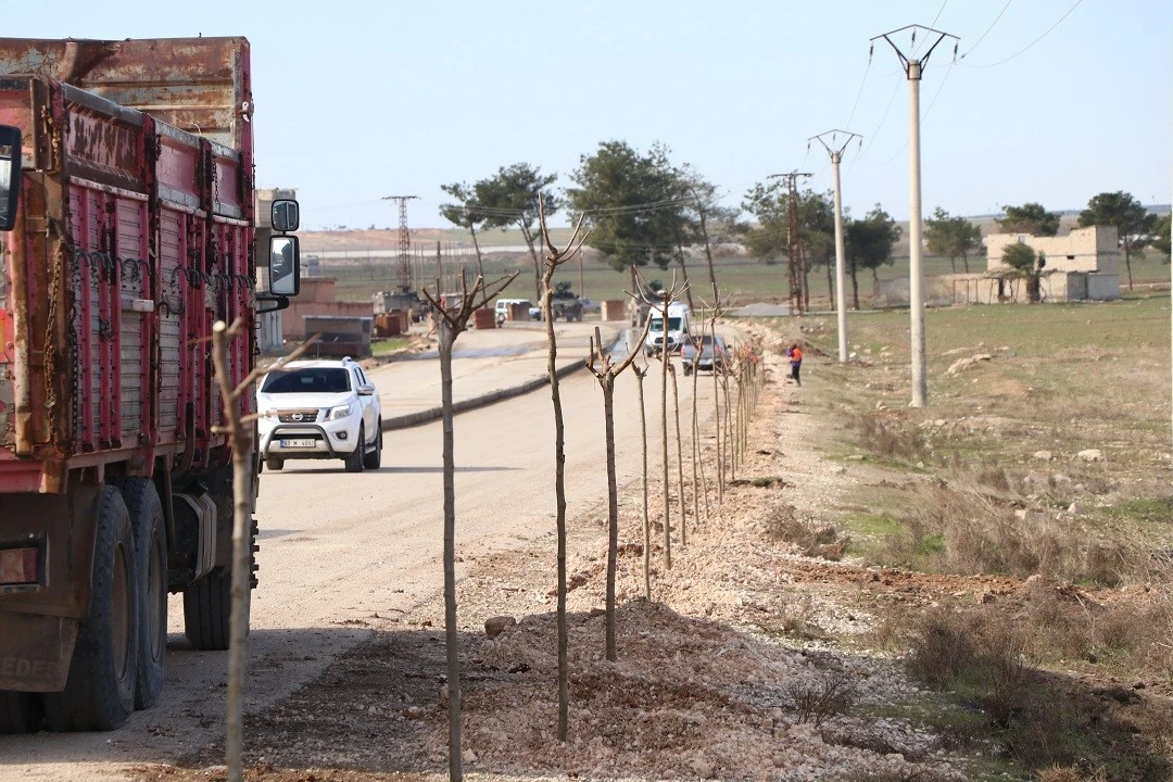 Suriye’nin kuzeyi Barış Pınarı ile yeşilleniyor