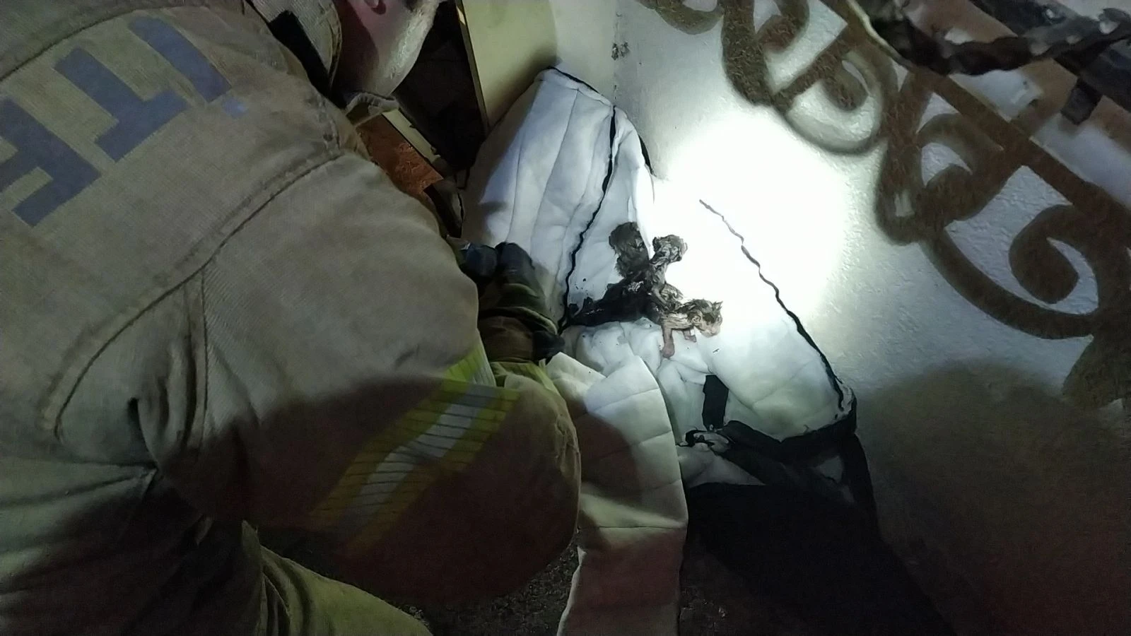 Mahsur kalan kedi yavrularını önce kurtardı sonra elleriyle yıkadı