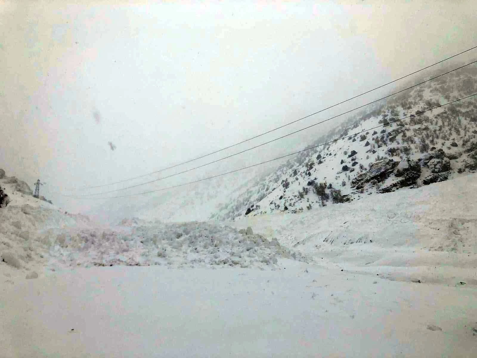 Van-Çatak kara yoluna peş peşe çığ düşüyor