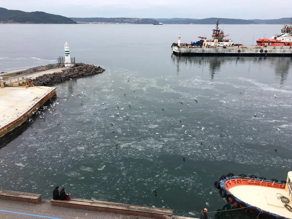 Çanakkale Boğazı'nda korkutan görüntü