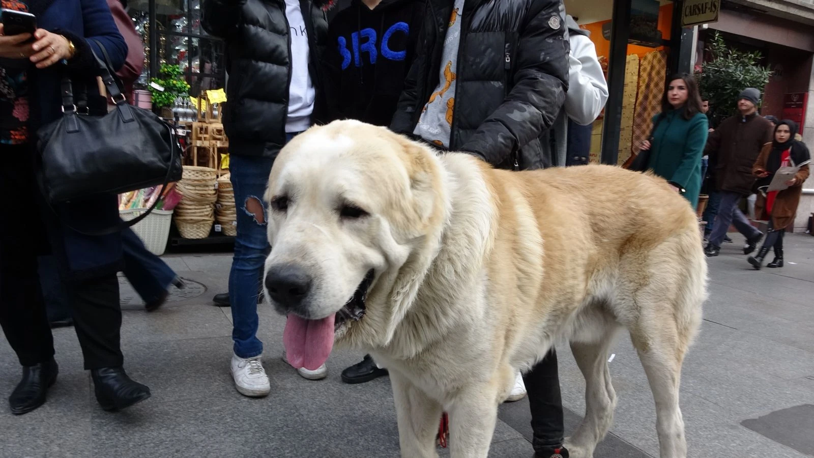 Türkiye’de daha büyüğü yok!
