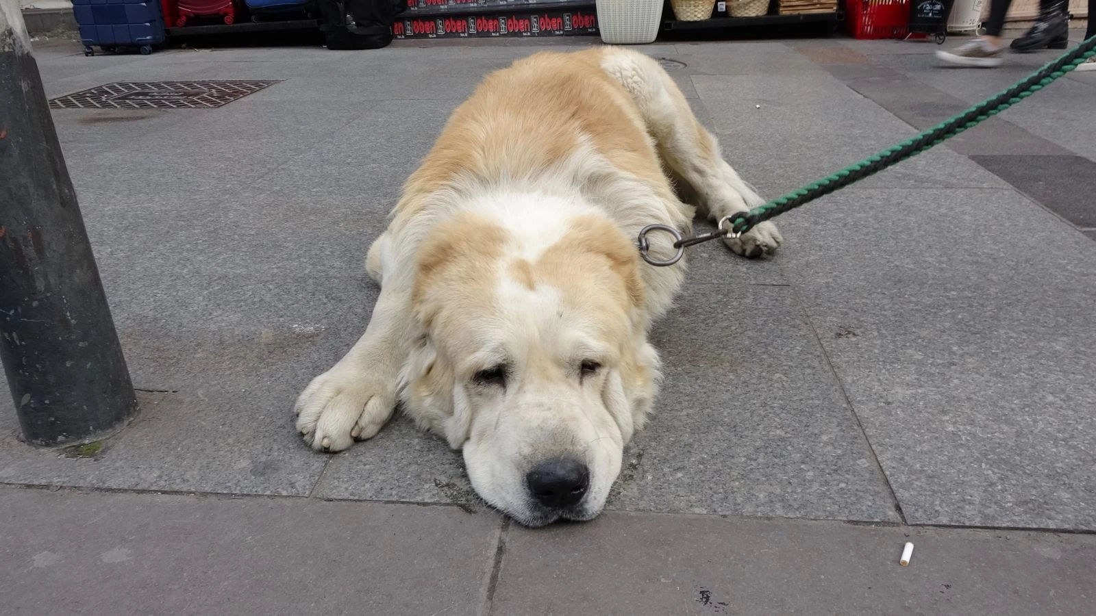 Türkiye’de daha büyüğü yok!