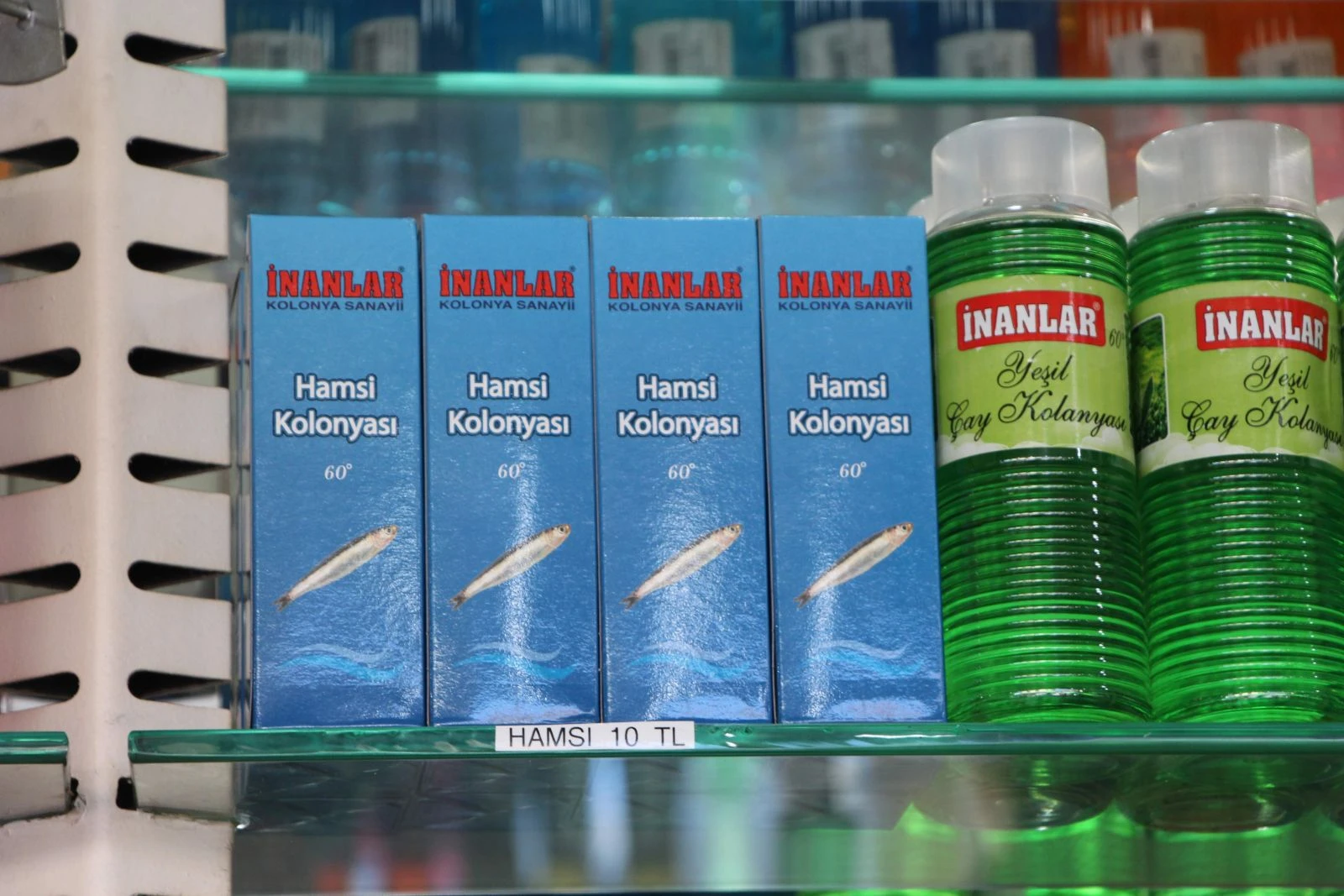 Koronavirüs'ün ilacı hamsi kolonyası