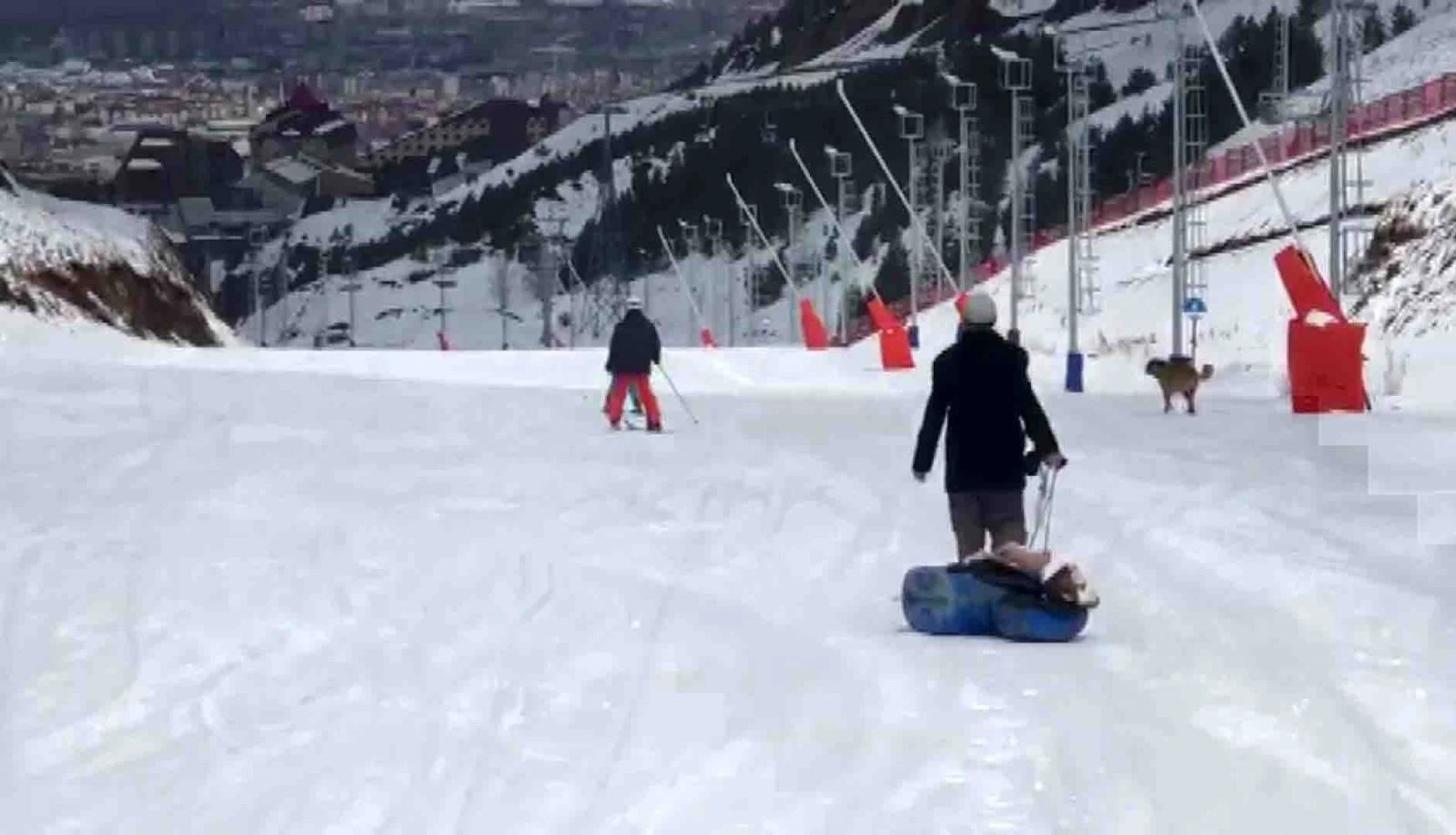 Hasta buzağıyı kızakla veterinere götüren besici