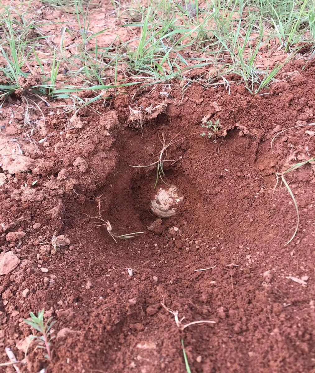 Kilis'te hudut hattında 16 adet mayın bulundu