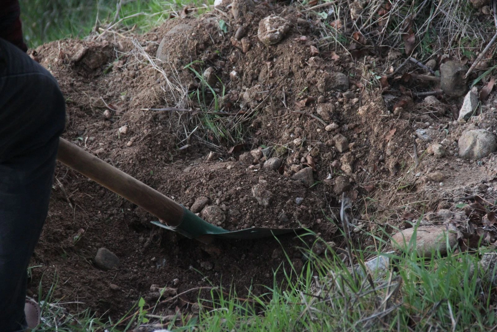 Hemşirenin gömdüğü kedi polisi alarma geçirdi