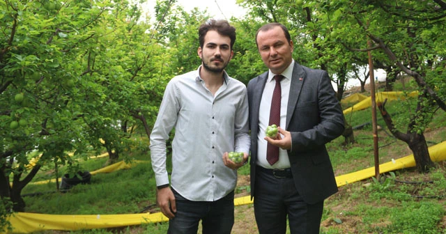 Eriğin tanesi dalında 10 lira