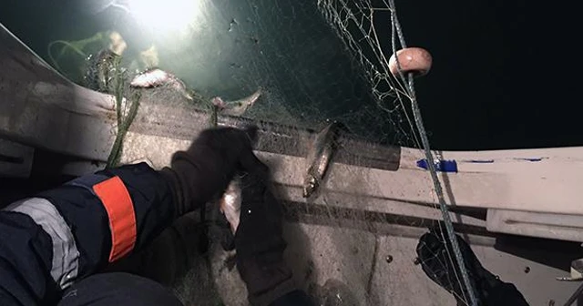 Van Gölü'nde kaçak avlanan 250 kilo inci kefali ele geçirildi