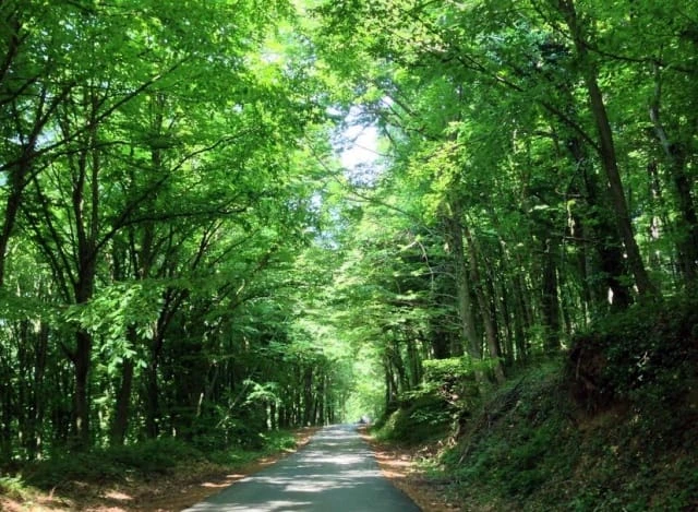 İstanbul’da Nereler Gezilir? İstanbul'da Gezilecek Yerler
