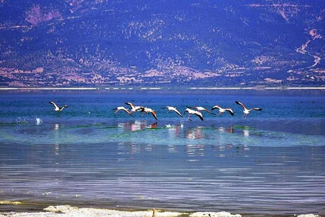 Burdur_Golu_tgrthaber