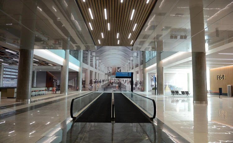 Almanya'yı Türkiye korkusu sardı!