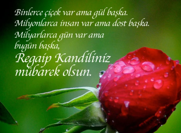 En güzel Regaib Kandili Mesajları, Resimli Regaib Kandili Mesajları, WHATSAPP, INSTAGRAM Paylaşımları