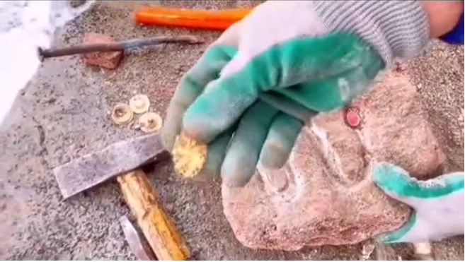 Defineci tırnaklarıyla çıkardı: Taştan altın fışkırdı sosyal medya karıştı