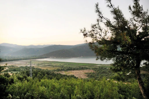Dudaklı