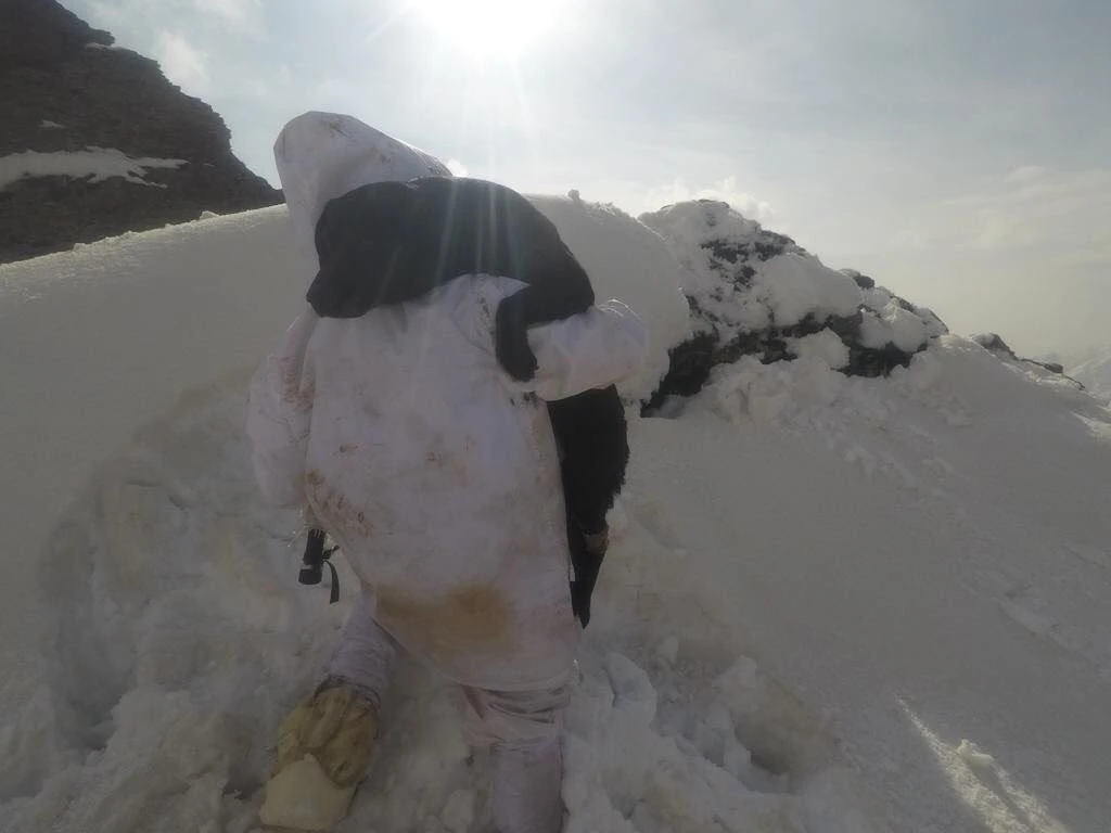 Mehmetçiğin vatan nöbetine "can dostları" eşlik ediyor