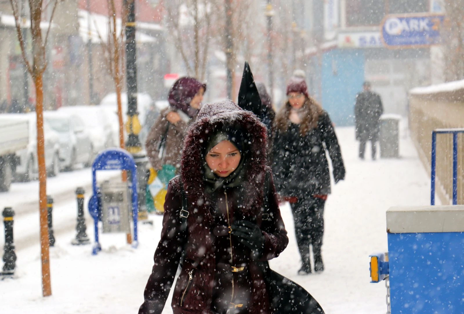 Erzurum’da kar yağışı başladı