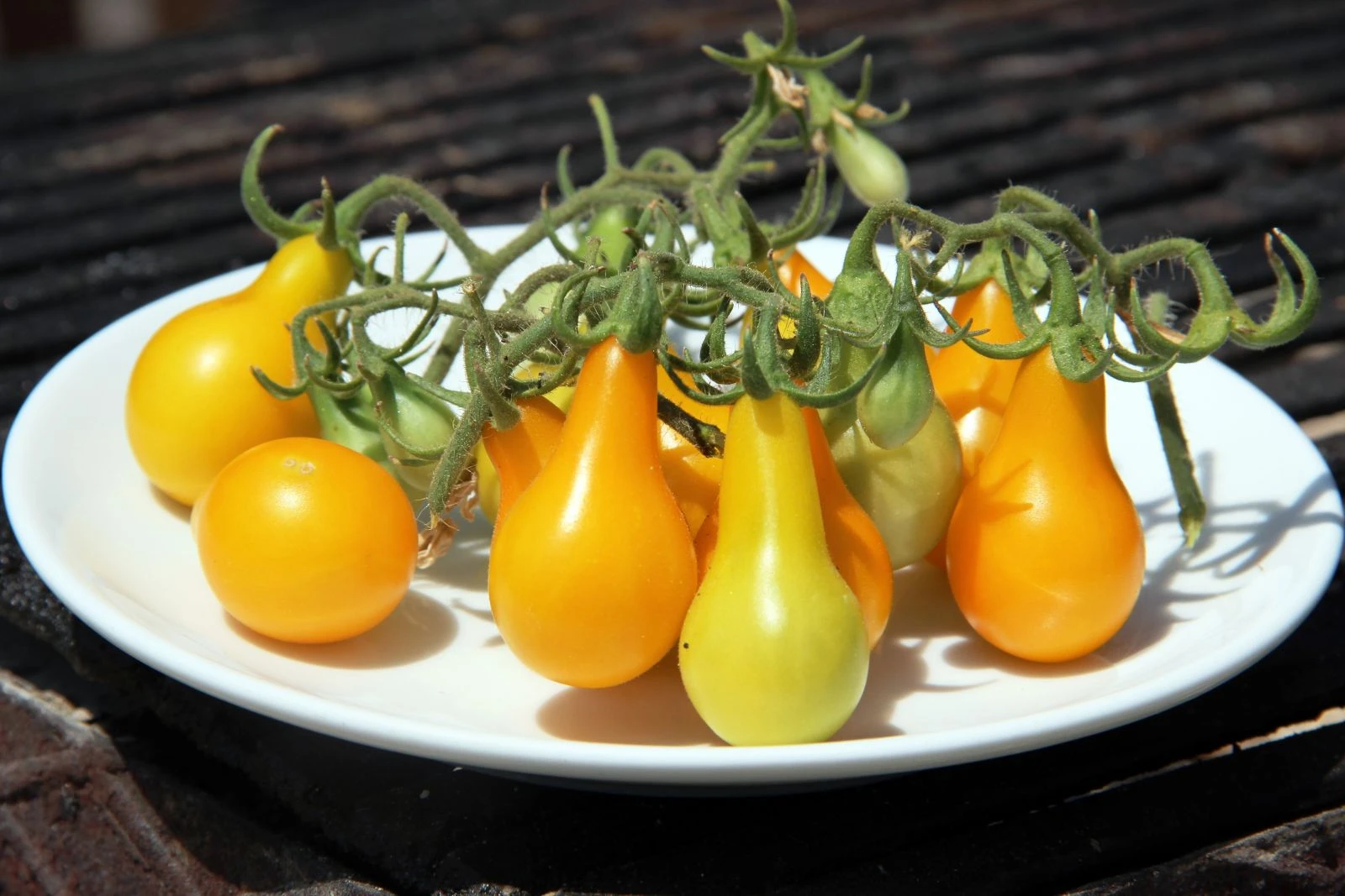 Ampul biçimindeki domates görenleri şaşırtıyor