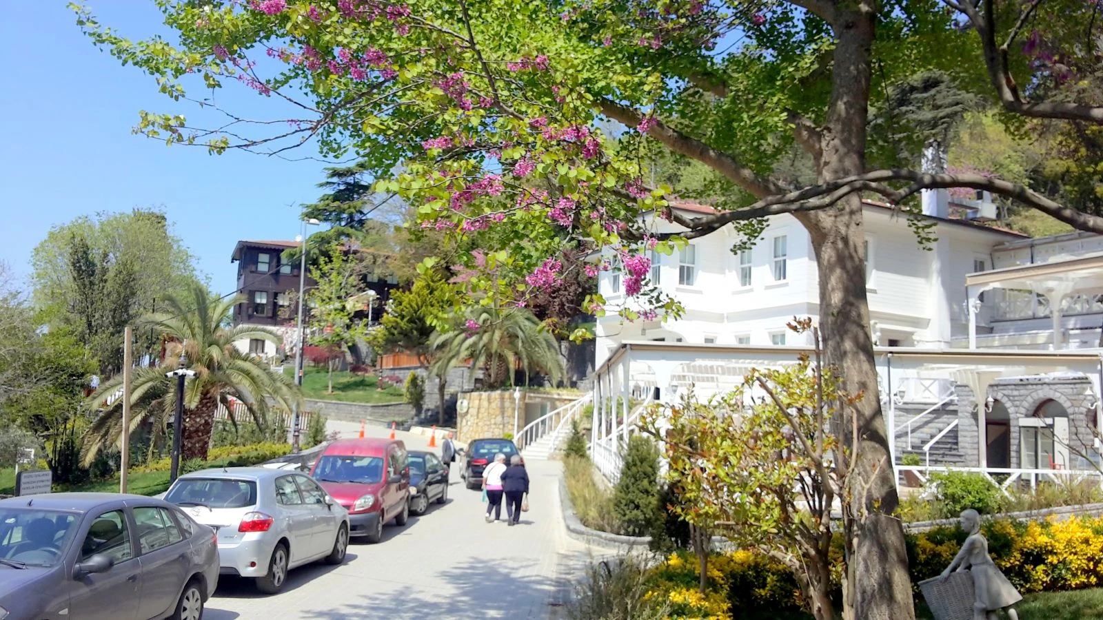 Fethipaşa Korusu
