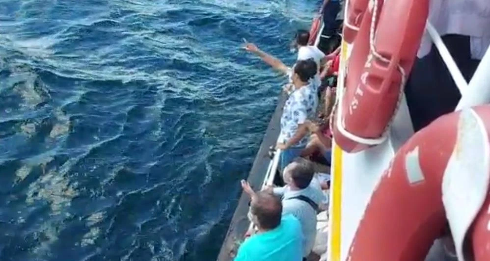 Denizde can pazarı: Vapurdan düşen adam hayatını kaybetti