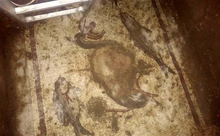 Tarsus'taki kaçak kazı ihbarıyla ortaya çıktı! M.S. 2'nci yüzyıldan kalma...