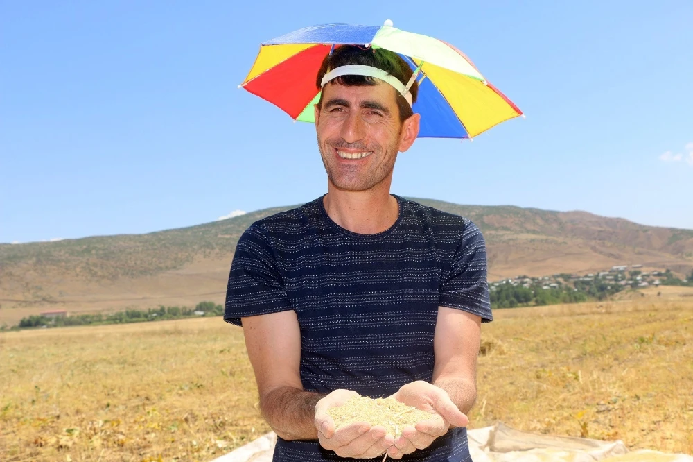 İlk kez ekti, 400 bin lira gelir bekliyor