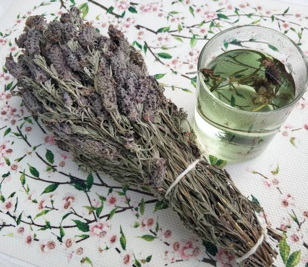 Karabaş Otunun Faydaları Nelerdir? Karabaş Otu Çayı Günde Kaç Bardak İçilmeli?