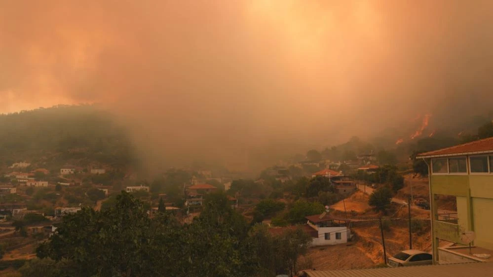 Milas'ta alevler böyle yayıldı! İşte o anlar