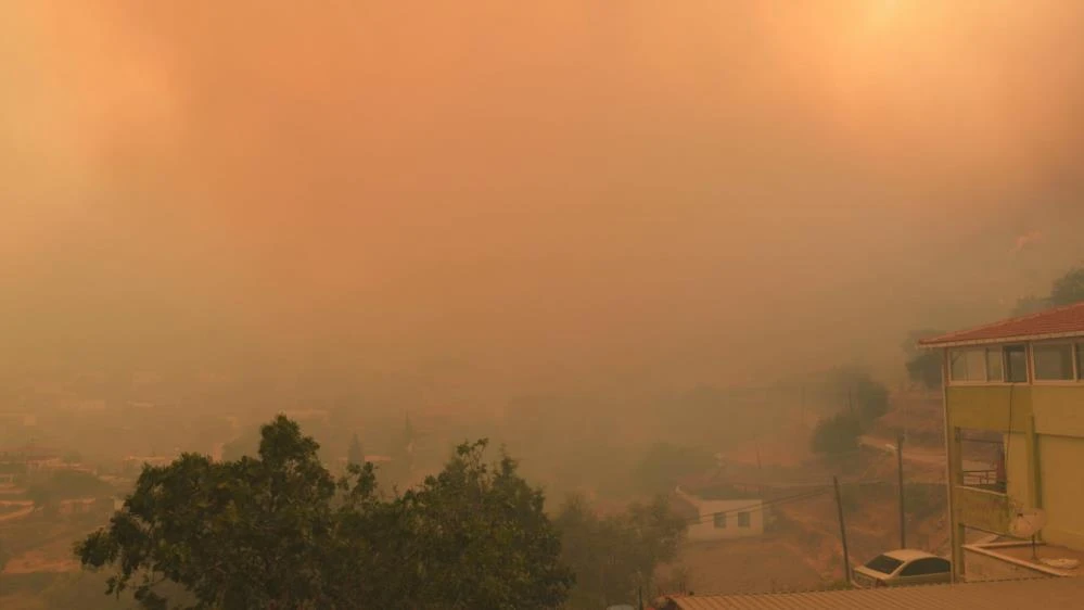 Milas'ta alevler böyle yayıldı! İşte o anlar